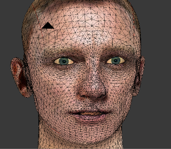 Visage lowpoly D.C 3d filaire